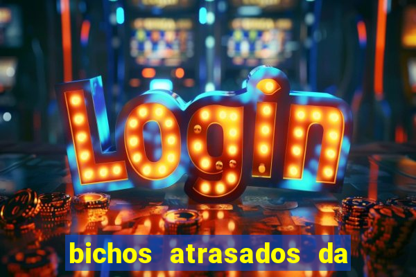 bichos atrasados da loteria federal